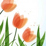 tulipanes en camino (Copier)
