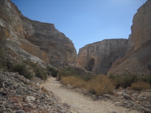 le désert de Zin - Israël