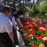 Visite du parc floral de Saint-Mandé